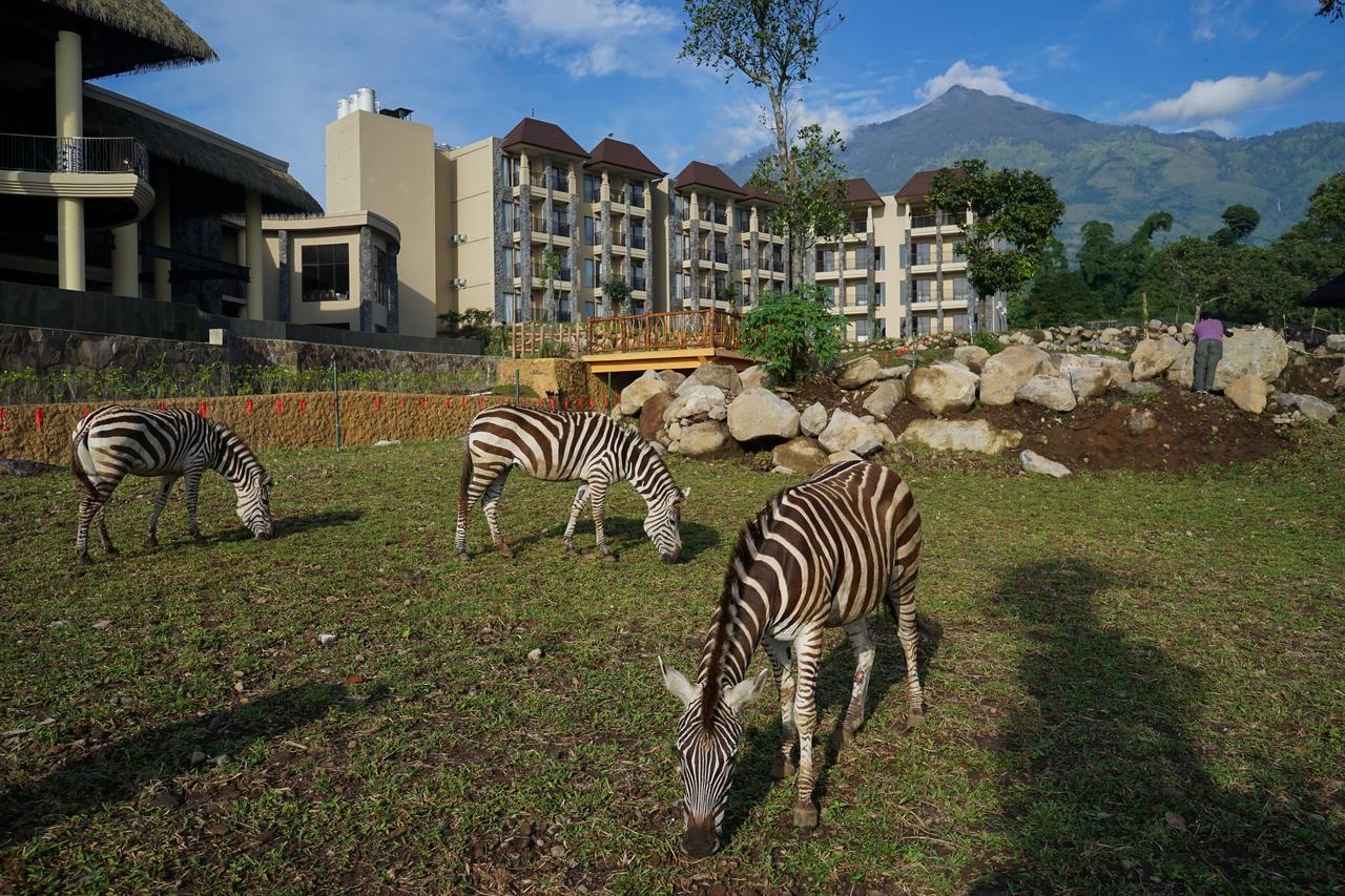 Baobab Safari Resort Prigen Exterior foto